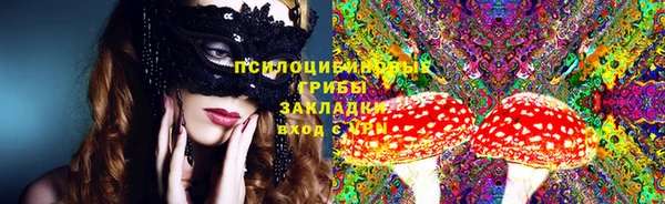 бошки Инсар