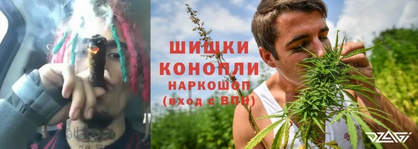 прущие крисы Инта