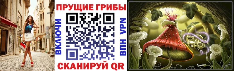 Галлюциногенные грибы прущие грибы  Купить где  Ермолино 