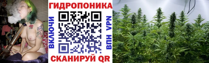 Купить  Ермолино  Канабис индика 